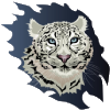 Snowleopard Cottage Logo